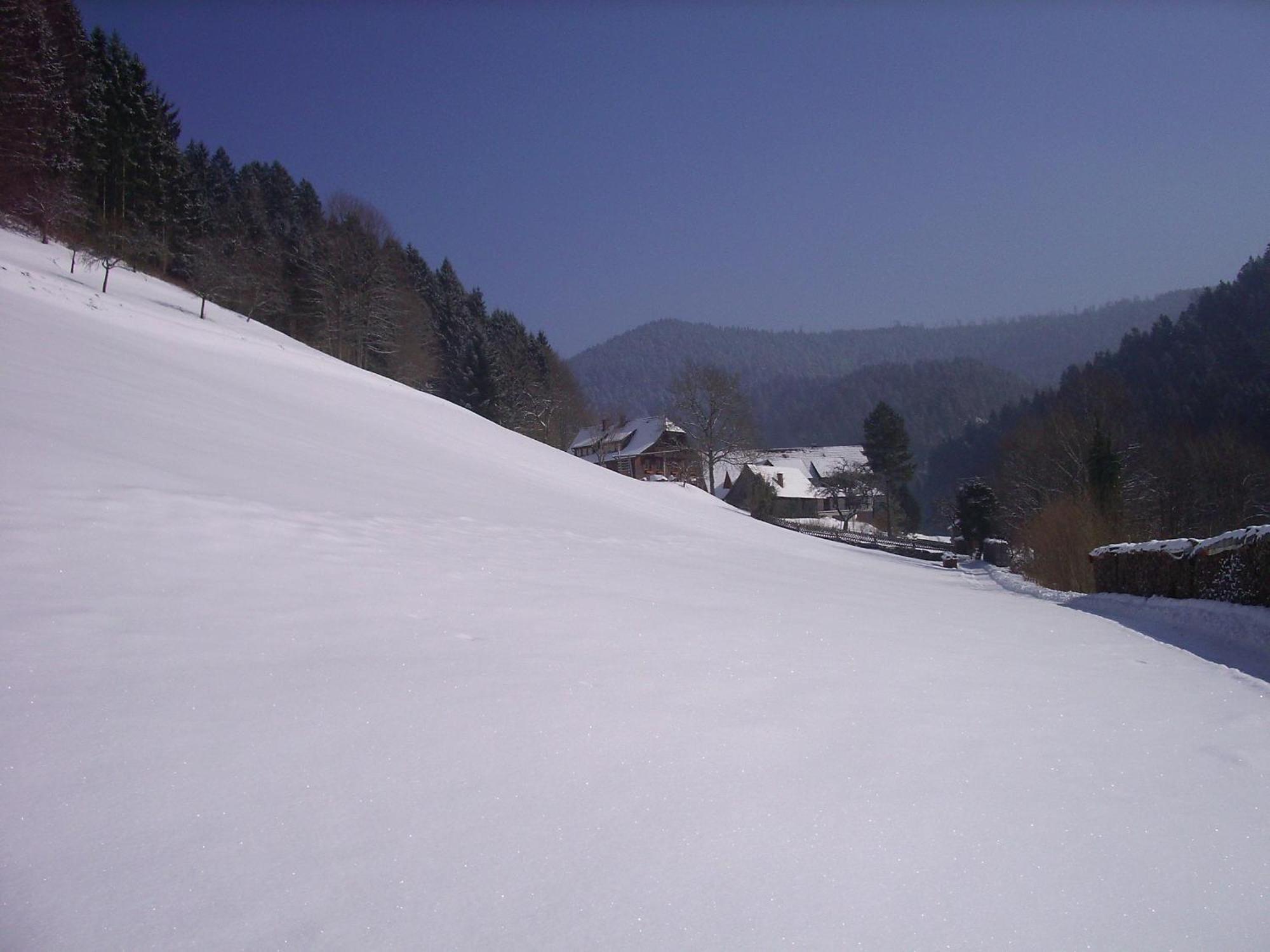 Ferienwohnungen Vogt'S Libding Bad Rippoldsau-Schapbach Exterior foto