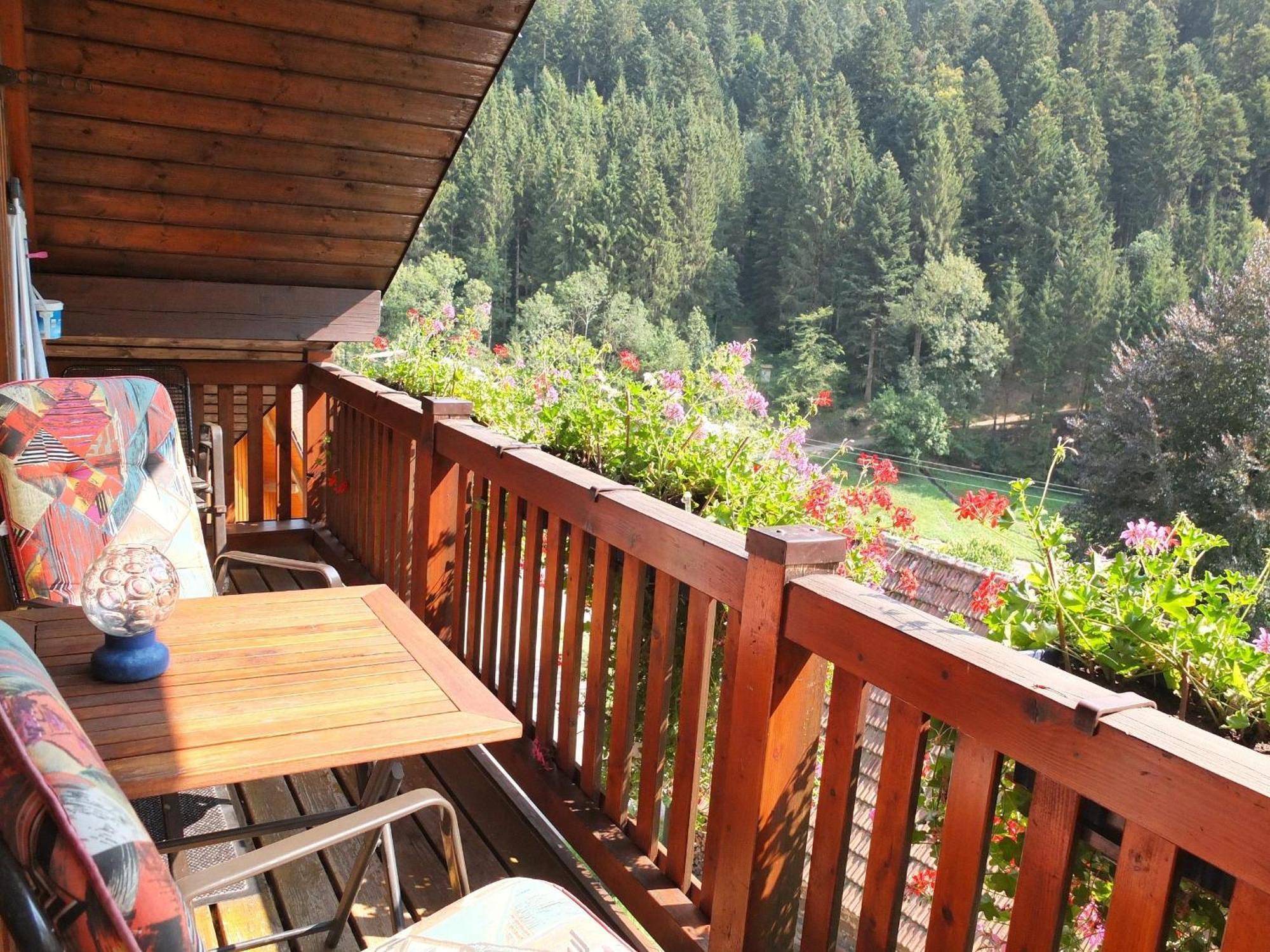 Ferienwohnungen Vogt'S Libding Bad Rippoldsau-Schapbach Exterior foto